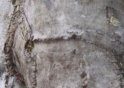 ivana radovanovic - The Hollow Man - detail