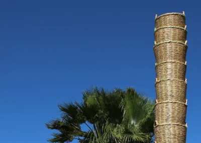The Kofini’s Column