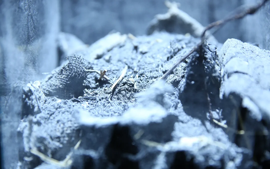 The Hollow Men – Urn