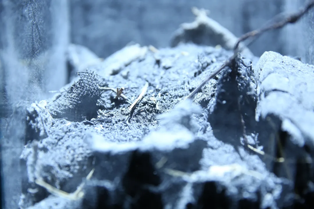The Hollow Men – Urn