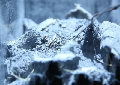 The Hollow Men – Urn