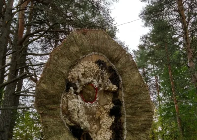 the-waste-land-ivana-radovanovic