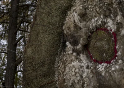 the-waste-land-ivana-radovanovic