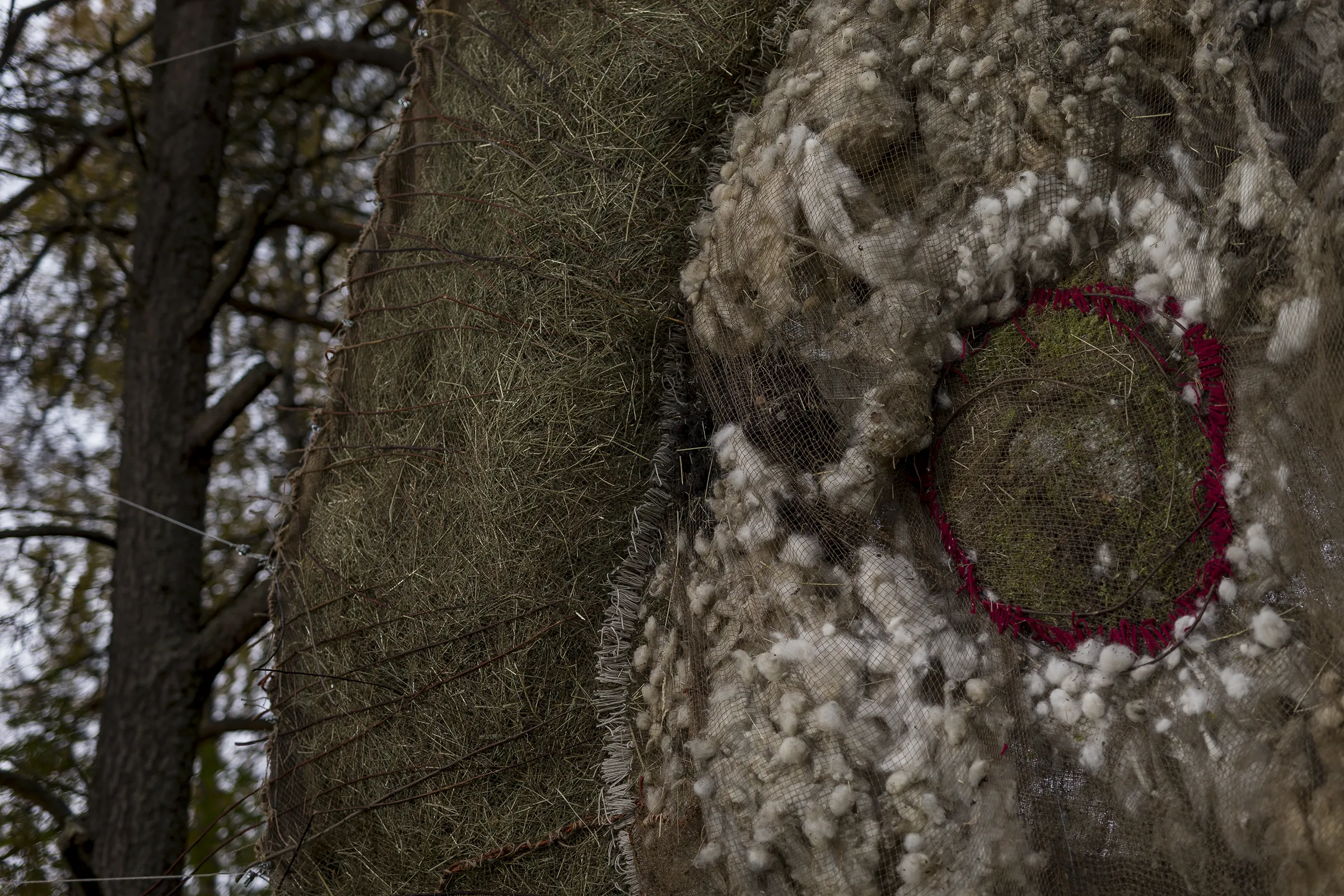 the-waste-land-ivana-radovanovic