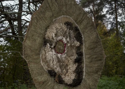 the-waste-land-ivana-radovanovic