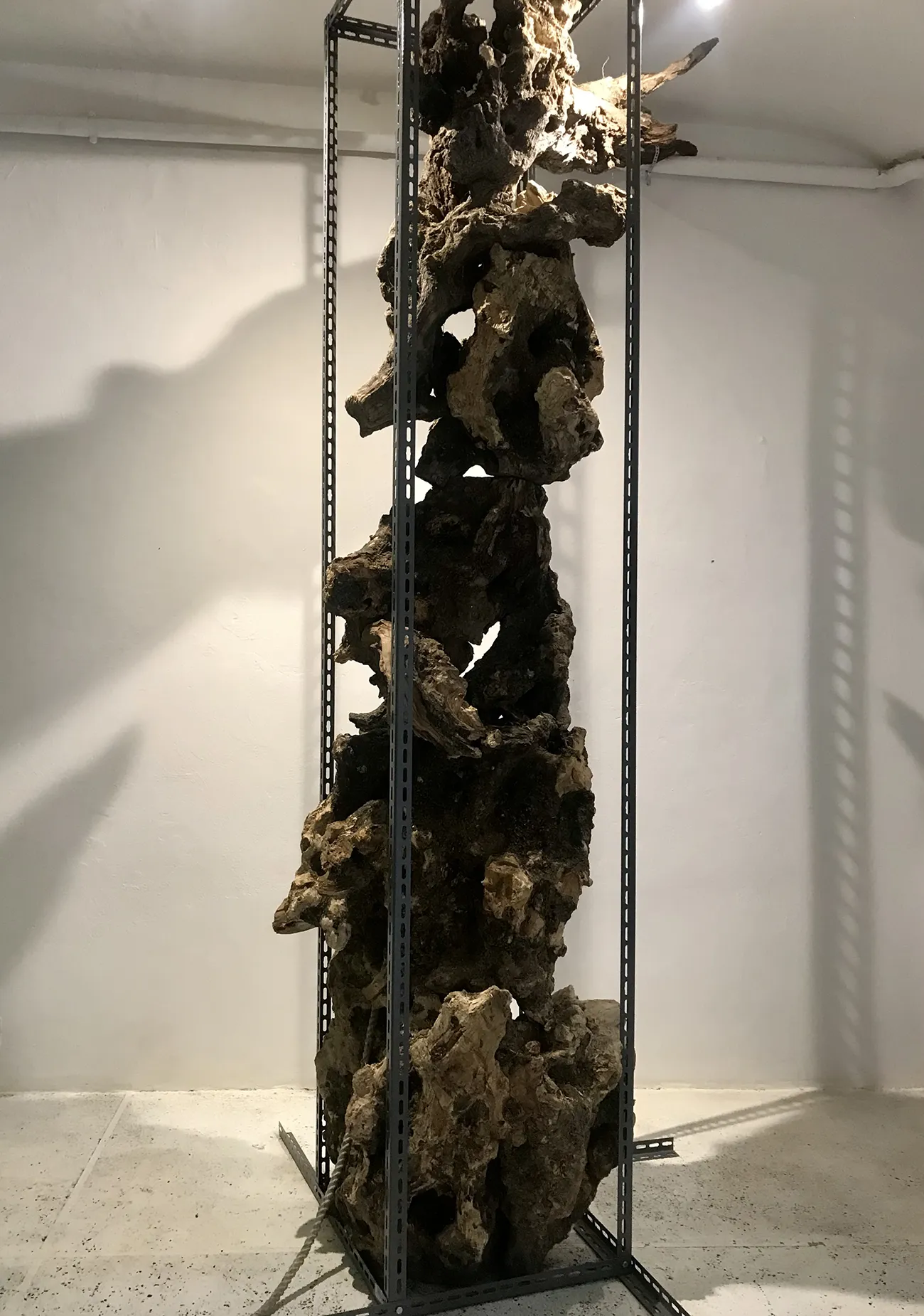 Roots Column - 01 the-waste-land-ivana-radovanovic