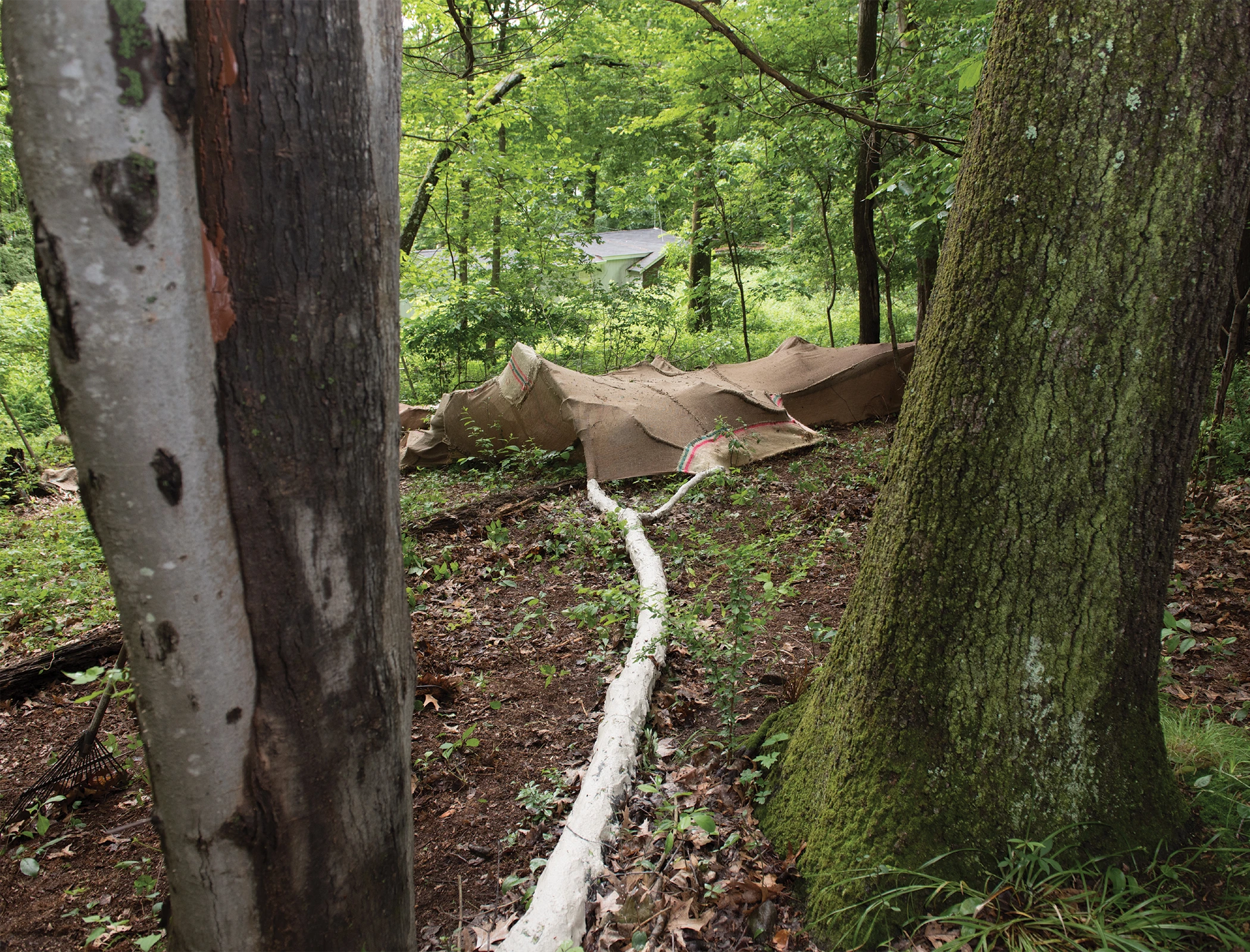 ivana radovanovic - The Hollow Man - detail